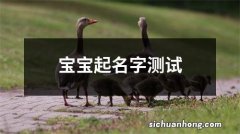 宝宝起名字测试