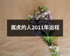 属虎的人2011年运程