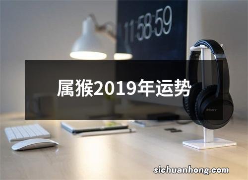 属猴2019年运势