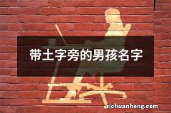 带土字旁的男孩名字