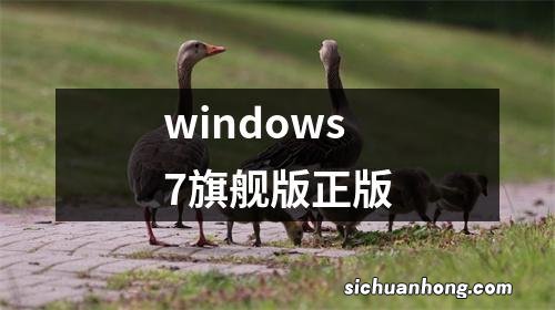 windows7旗舰版正版