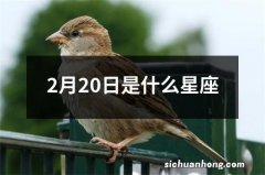 2月20日是什么星座