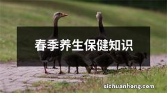 春季养生保健知识