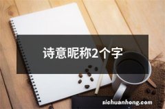 诗意昵称2个字