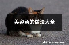 美容汤的做法大全