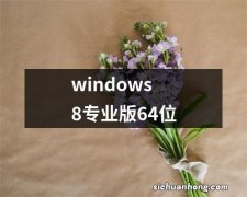 windows8专业版64位