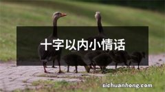 十字以内小情话