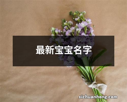 最新宝宝名字
