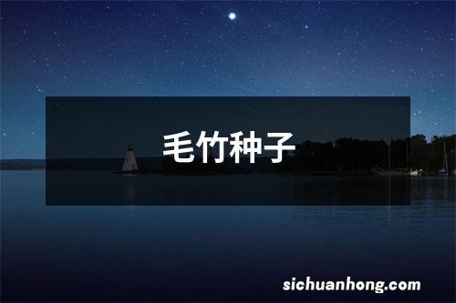 毛竹种子
