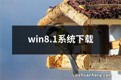 win8.1系统下载