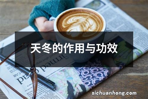 天冬的作用与功效