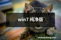 win7 纯净版