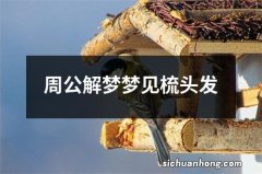 周公解梦梦见梳头发