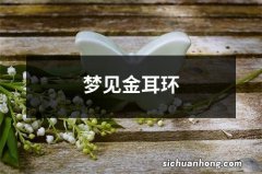 梦见金耳环