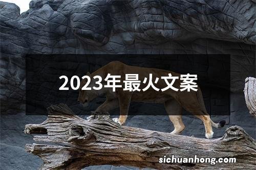 2023年最火文案