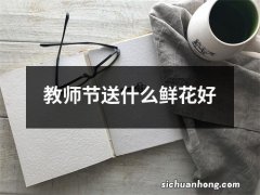 教师节送什么鲜花好