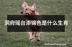 洞府瑶台添锦色是什么生肖