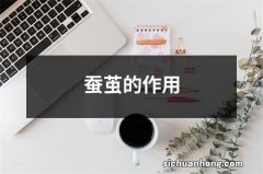 蚕茧的作用