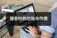 银杏叶的功效与作用