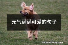 元气满满可爱的句子