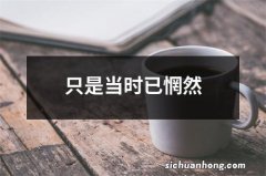 只是当时已惘然