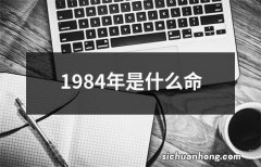 1984年是什么命