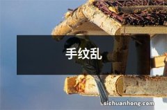 手纹乱