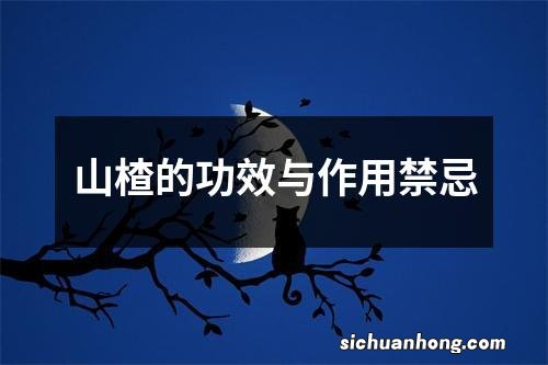 山楂的功效与作用禁忌