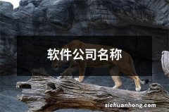 软件公司名称