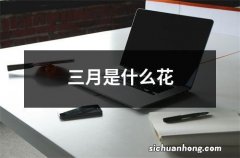 三月是什么花