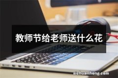 教师节给老师送什么花