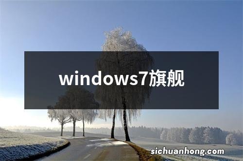 windows7旗舰