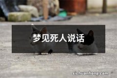 梦见死人说话