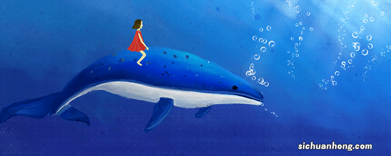 鲸鱼的种类有哪些