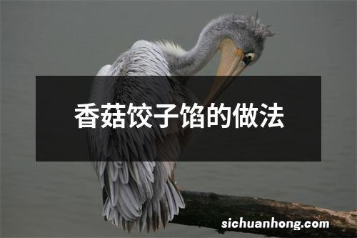 香菇饺子馅的做法