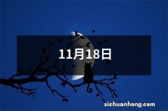 11月18日