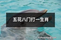 五花八门打一生肖