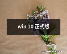 win 10 正式版