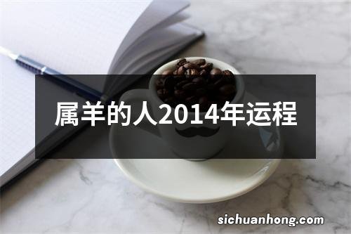 属羊的人2014年运程