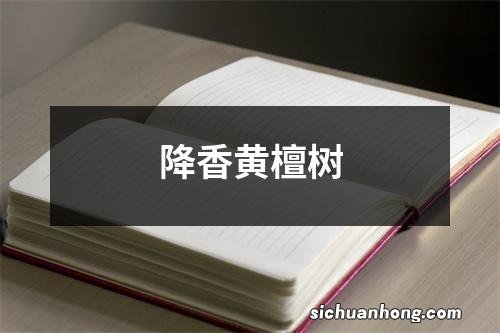 降香黄檀树