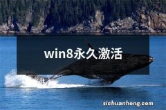 win8永久激活