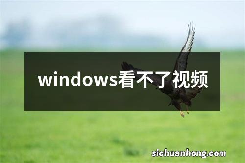 windows看不了视频