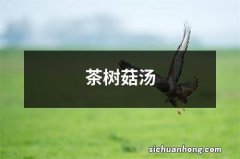 茶树菇汤