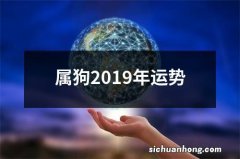 属狗2019年运势