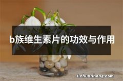 b族维生素片的功效与作用