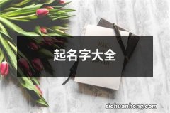 起名字大全