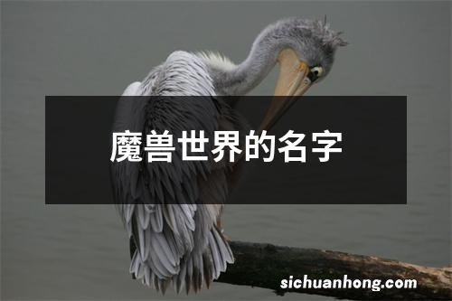 魔兽世界的名字