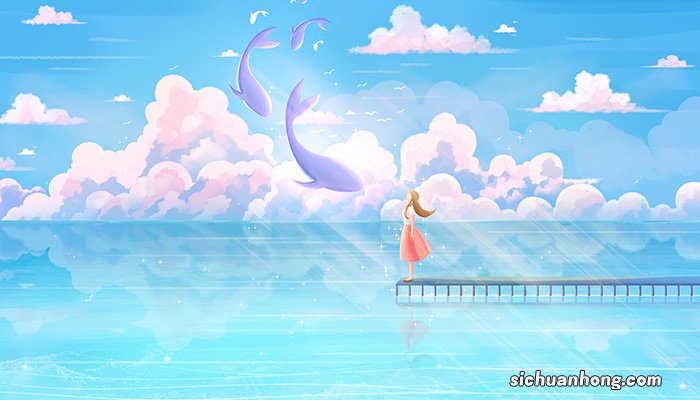 大海里面有什么