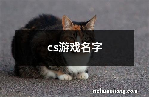 cs游戏名字