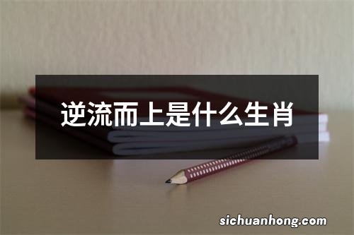 逆流而上是什么生肖